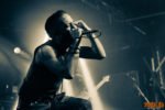 Konzertfoto von Fallujah - 25th Anniversary Tour 2020 IM Conne Island Leipzig