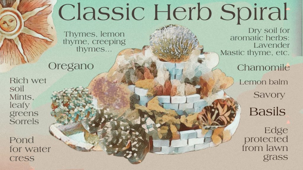 La spirale des herbes, une aventure qui transforme votre jardinage.