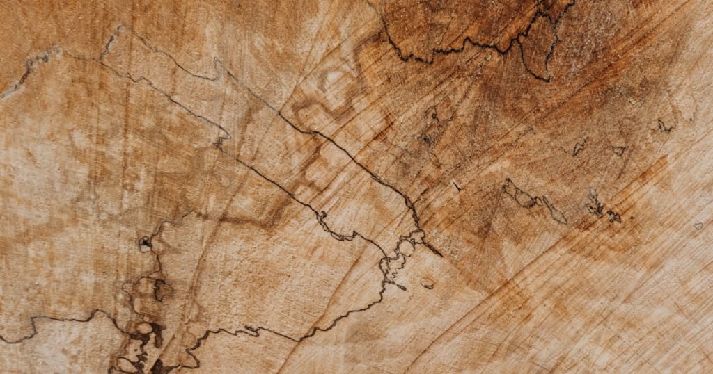 Vente de bois de paulownia, bardages, lambris sur mesure | Solution d’investissement responsable
