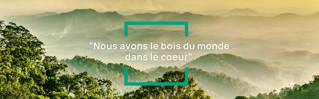 Bois bruts et panneaux massifs Alsace