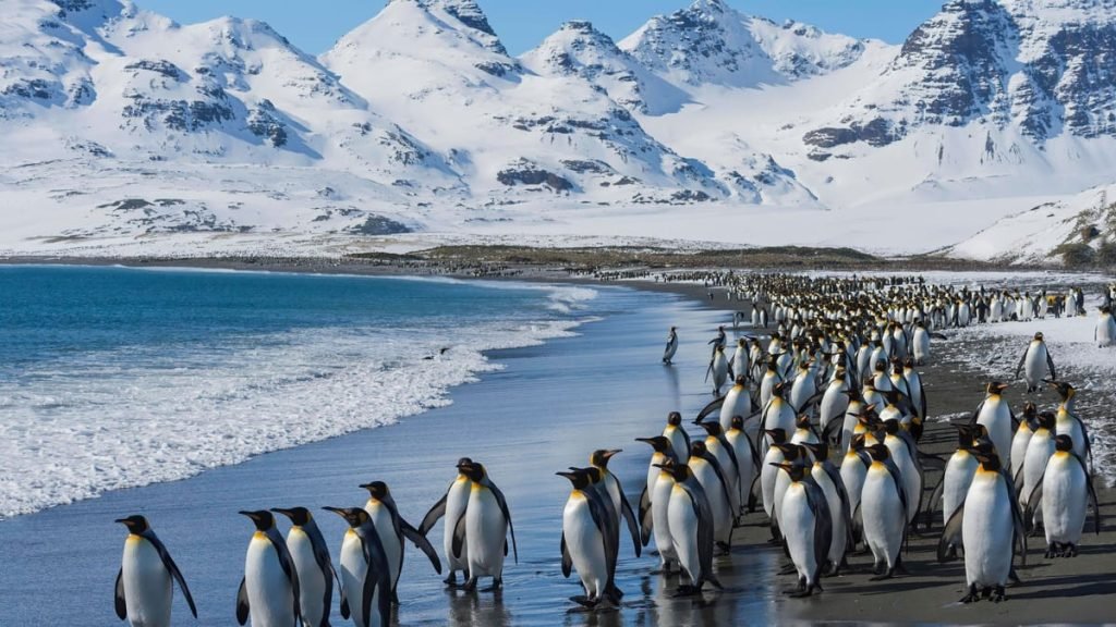 Mourir des extrémités Wetterrekorde der Welt