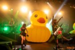 Konzertfoto von Alestorm - Paganfest 2025