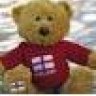 SE16teddy