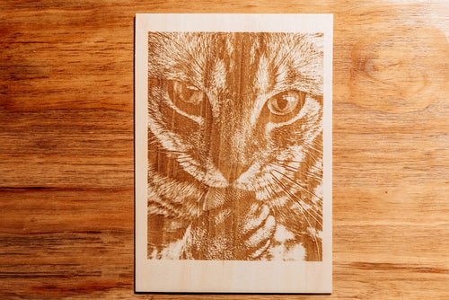 Gravure laser d'un motif de chat sur bois.