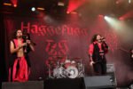 Konzertfoto von Haggefugg - Summer Breeze Open Air 2022