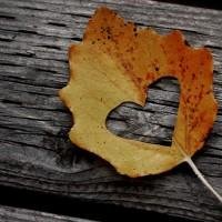 Il s'agit d'un projet de loi sur la sécurité sociale pour les personnes âgées. Il s'agit d'un projet de loi sur la sécurité sociale pour les personnes âgées.