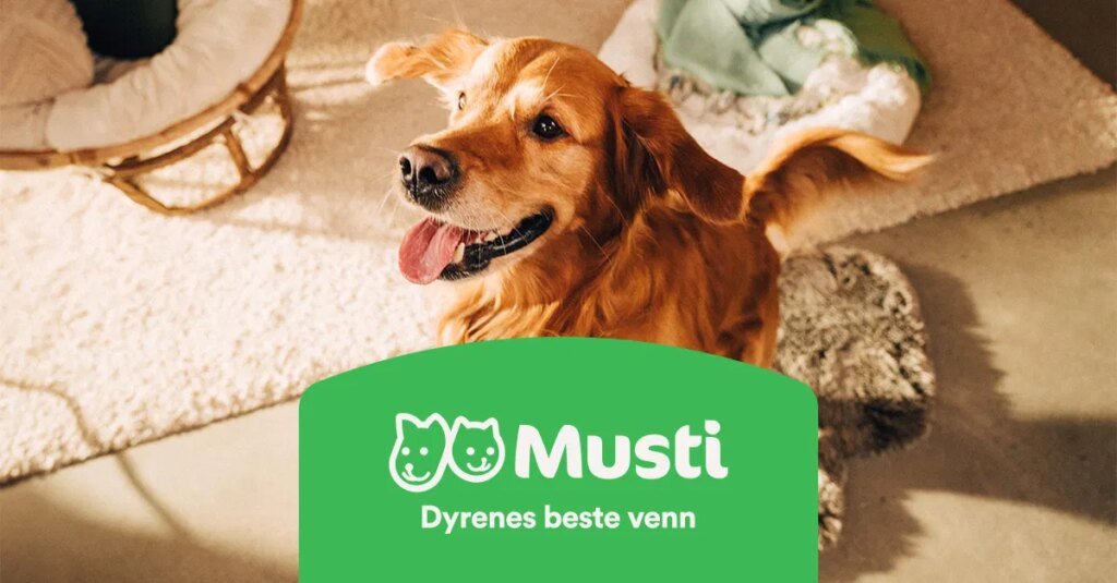 Dyrebutikk – fôr og utstyr til kjæledyr på nett