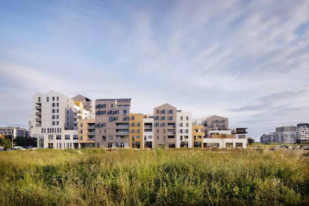 so wood montpellier – projet So Wood vue de champ