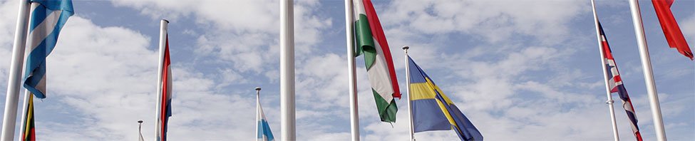 Freiverkehr (marché libre)