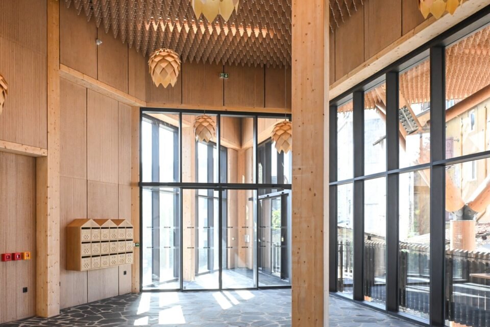 Un immense immeuble tout en bois a fait son apparition sur la Presqu'île de Grenoble.