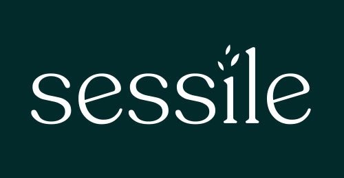 Atelier Nina | Livraison de fleurs à Dijon