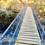 Faire le pont entre blockchain, Web3 et finance mondiale