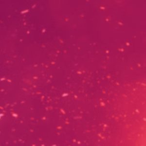 Genre Série Internationale - RaiPlay