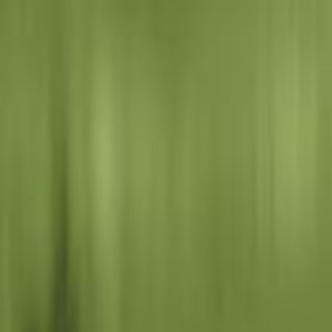 Documentaires de genre - RaiPlay