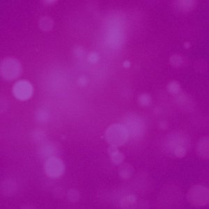 Genre Série Italienne - RaiPlay