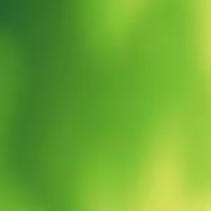 Durabilité du genre - RaiPlay