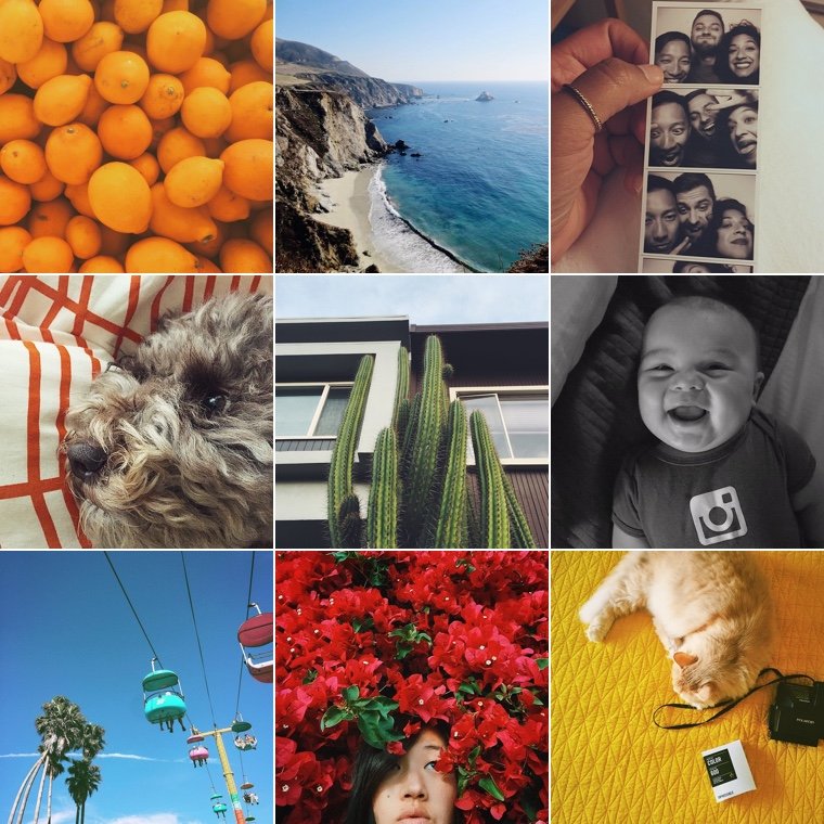 Explorez des photos et des vidéos sur Instagram