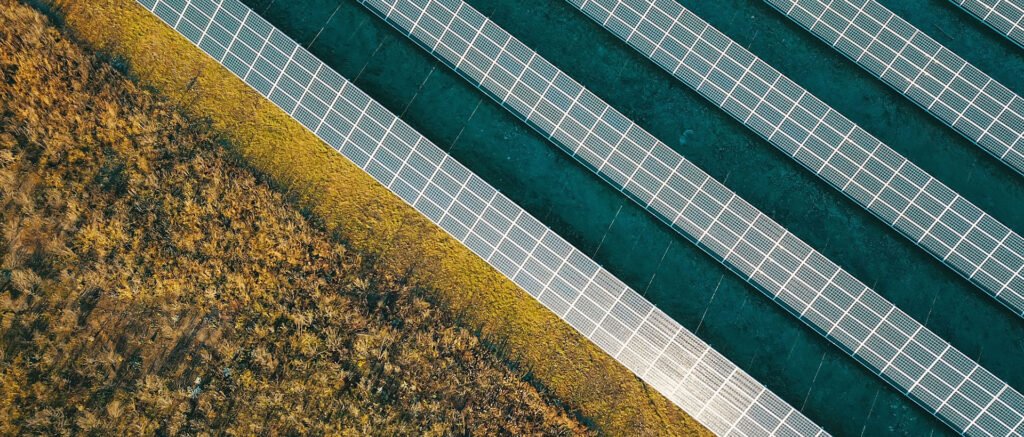 Où nous travaillons | Bois