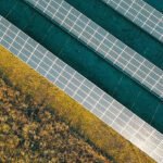 Où nous travaillons | Bois