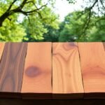 Types de bois : Guide de base de données sur les essences, les utilisations et le bois