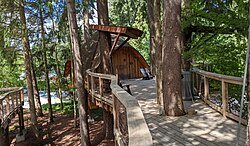 Une petite cabane dans les arbres sur une passerelle en bois surélevée.