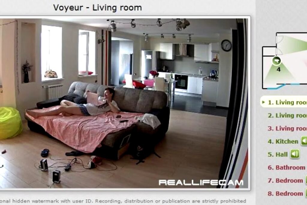 RealLifeCam, le voyeurisme à l’heure de la web-réalité RealLifeCam, le voyeurisme à l’heure de la web-réalité
